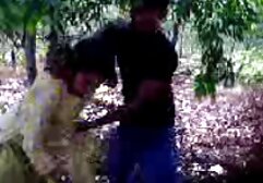 cachonda-1 porno gratis en paraguay